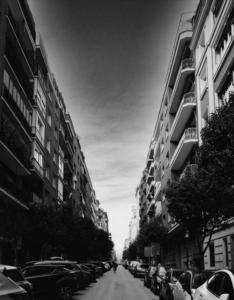 Una calle residencial larga, vista en perspectiva forzada hacia el horizonte: balcones de hierro forjado se alinean a ambos lados sobre las fachadas regulares de la manzana. En medio del asfalto, una figura solitaria pedalea hacia el fondo donde la calle se cierra en bruma. La calle es la grilla y la persona, el accidente.
