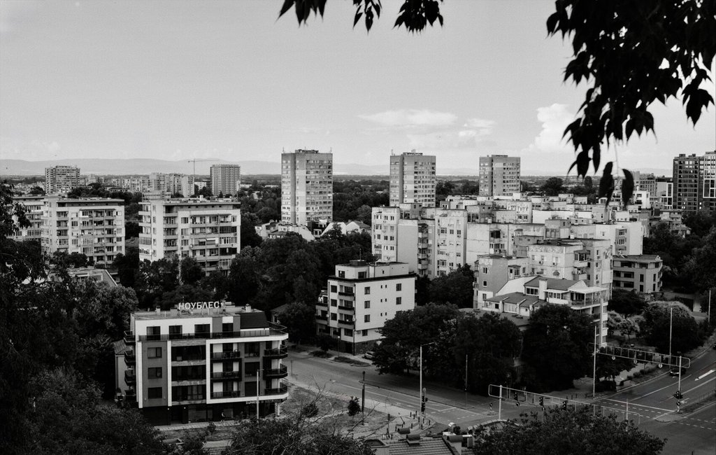 Vista de una ciudad desde una altura, encuadrada por las ramas de un árbol que entran por la esquina superior. Bloques de viviendas de distintas épocas se reparten entre el arbolado, con un par de torres al fondo y un cruce de semáforos abajo. La rama en primer plano pesa tanto como el horizonte de cemento que enmarca.