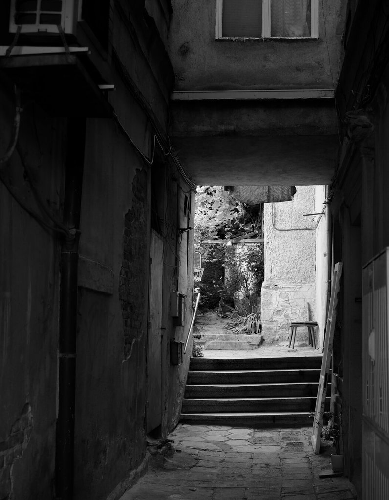 Un pasadizo estrecho y en sombra desemboca en unos escalones de piedra que suben hacia un patio con luz: plantas, un taburete solo, una escalera de mano apoyada. Las paredes encaladas se descascarillan a ambos lados, oscuras, mientras al fondo el verde respira. Un umbral entre el encierro y el aire.