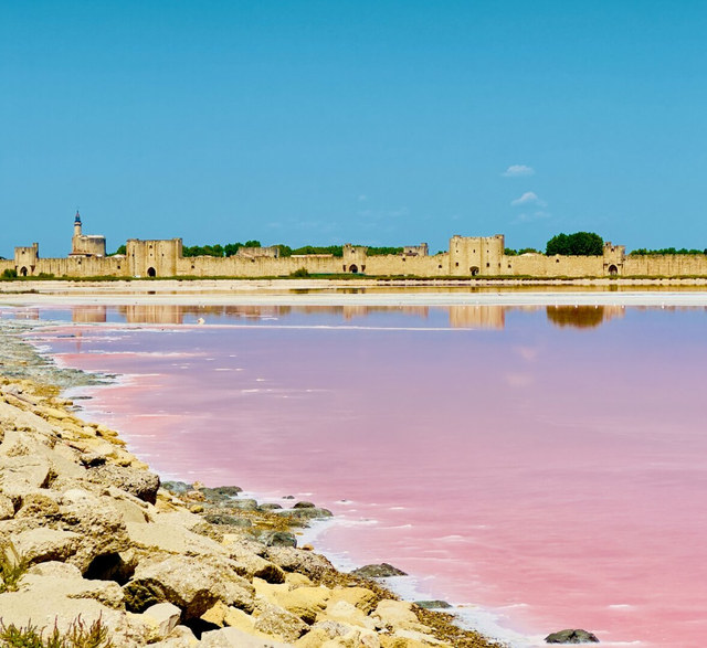 Las murallas medievales de Aigues-Mortes se reflejan en una salina rosada bajo un cielo azul.