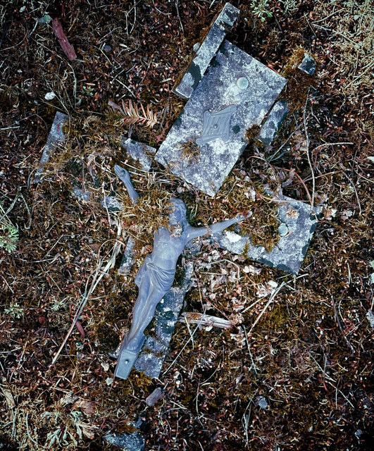 Un crucifijo roto y una placa metálica yacen entre musgo, hojas secas y fragmentos dispersos sobre el suelo.