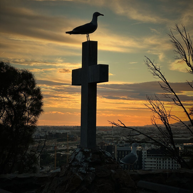 Una gaviota se posa sobre una cruz de piedra al atardecer, con otra ave y la ciudad debajo.