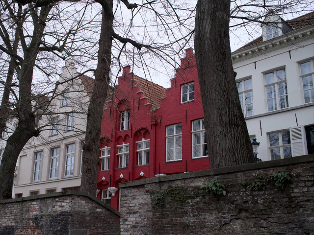 Una casa roja de hastial escalonado asoma entre grandes troncos desnudos y un muro antiguo de ladrillo en Brujas.