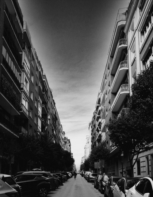 Una calle residencial en blanco y negro se estrecha entre edificios altos, árboles podados y filas de coches aparcados.