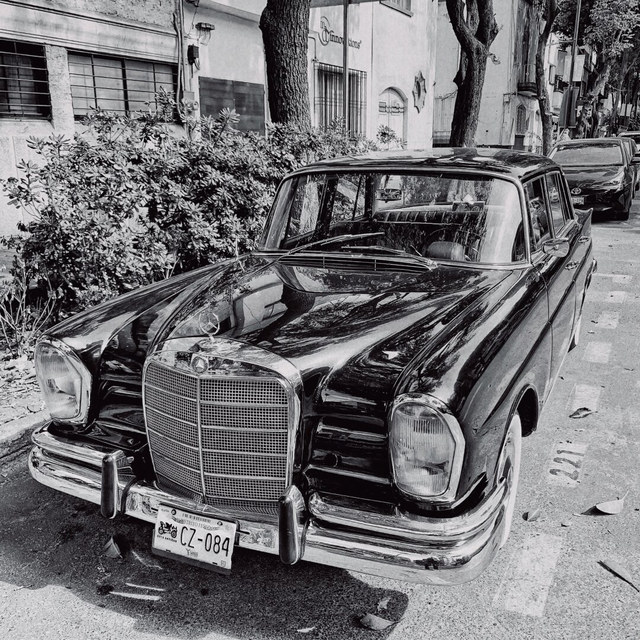 Un Mercedes-Benz clásico negro permanece aparcado en una calle arbolada, con cromados brillantes y matrícula CZ-084.